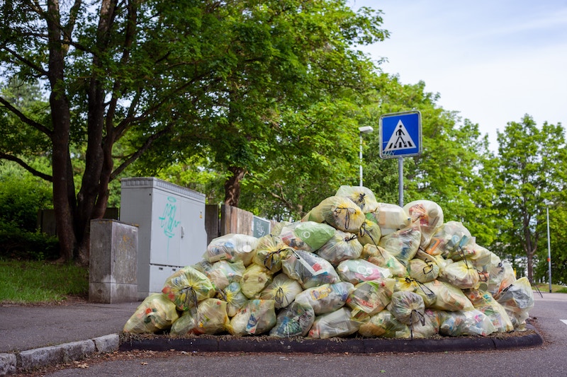 Så blir du miljonär – på att sluta slänga mat