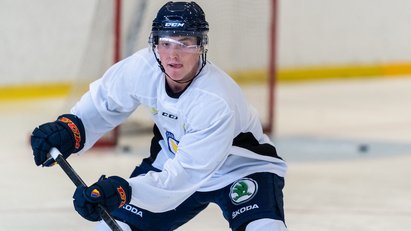 Hockeytalangens aktieklipp: ”Det är för mycket”