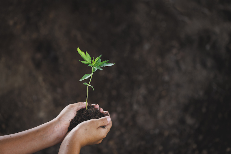 Då är du rik och trygg – på riktigt