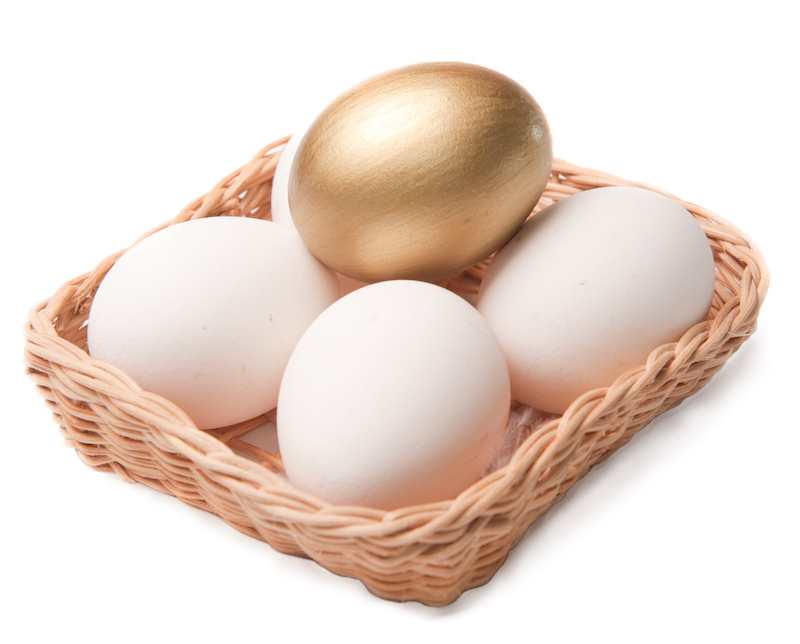 Skydda portföljen optimalt: ”Äggen i rätt korgar”